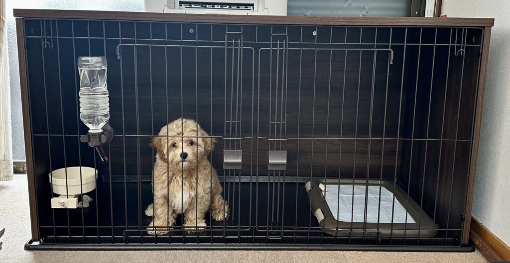 アイリスオーヤマ 犬ゲージ ナチュラルファニチャー