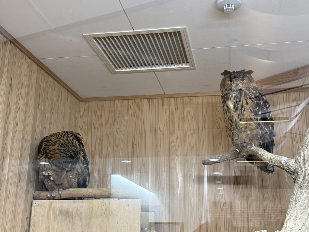 松江フォーゲルパーク