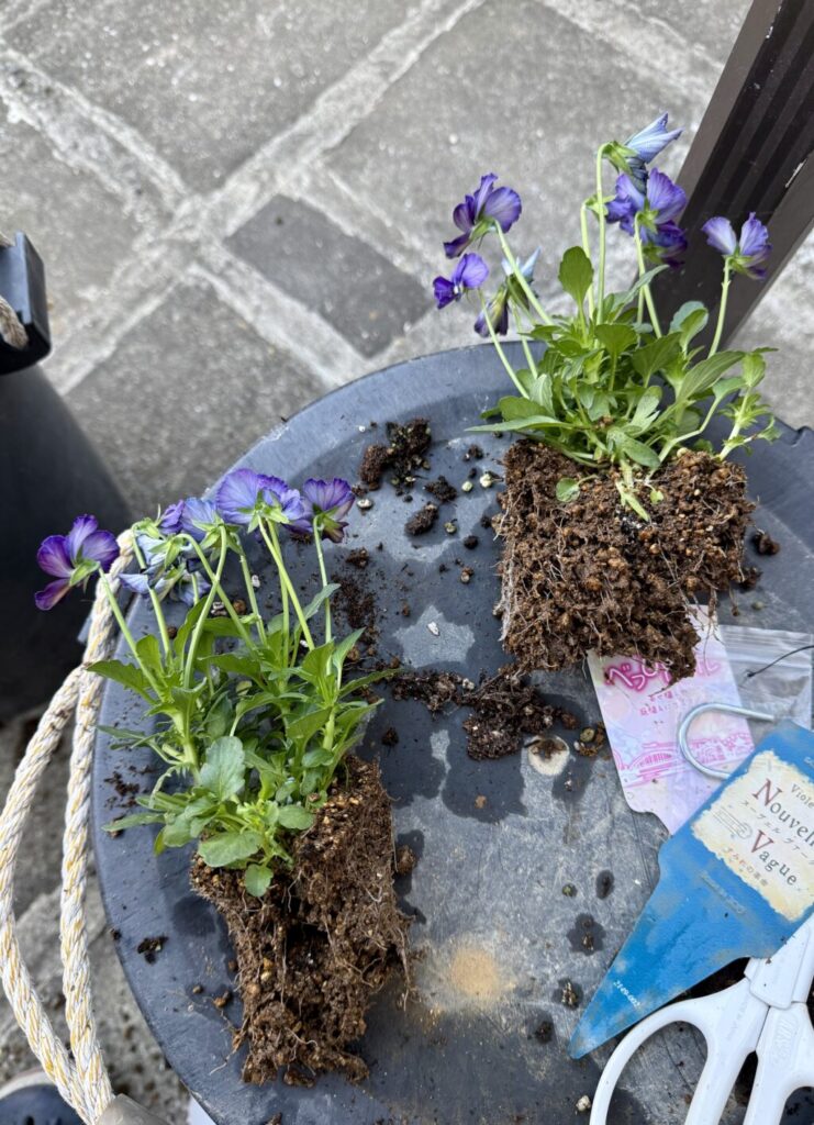 ヌーヴェルヴァーグ