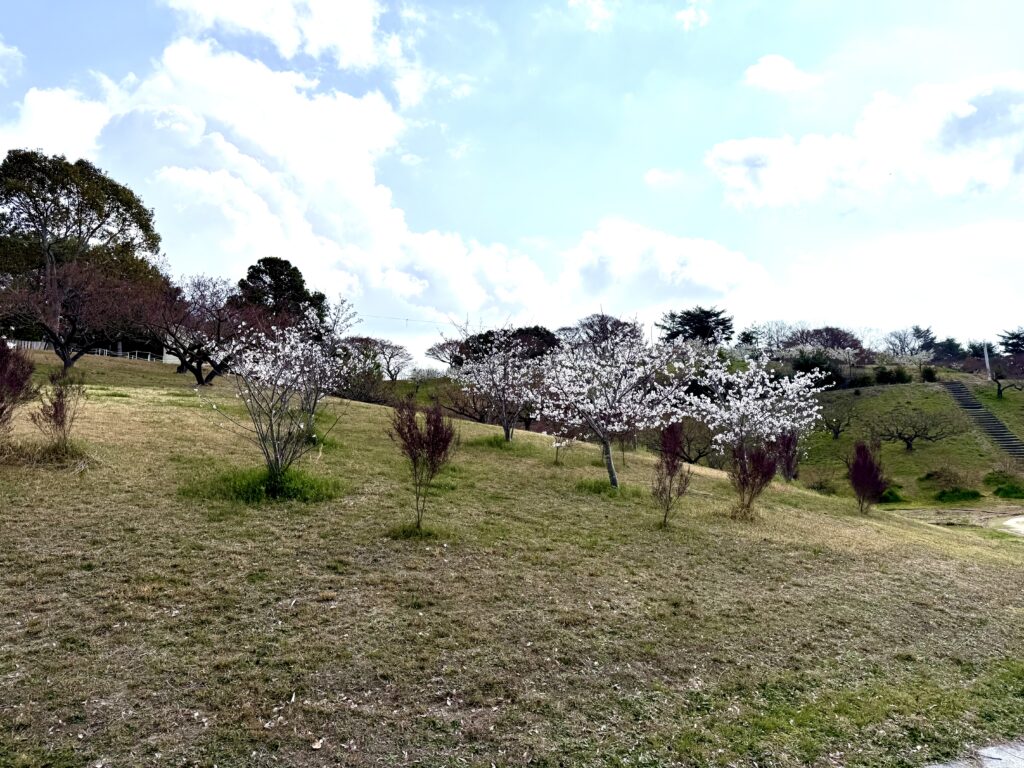 見土呂フルーツパーク