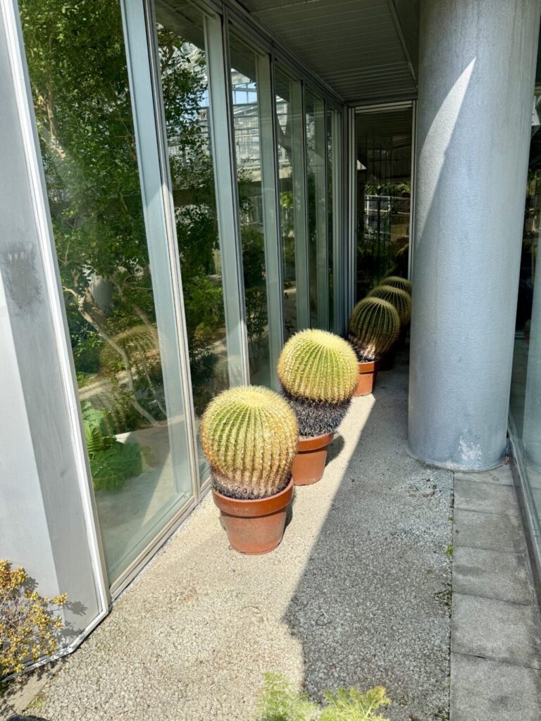 見土呂フルーツパーク