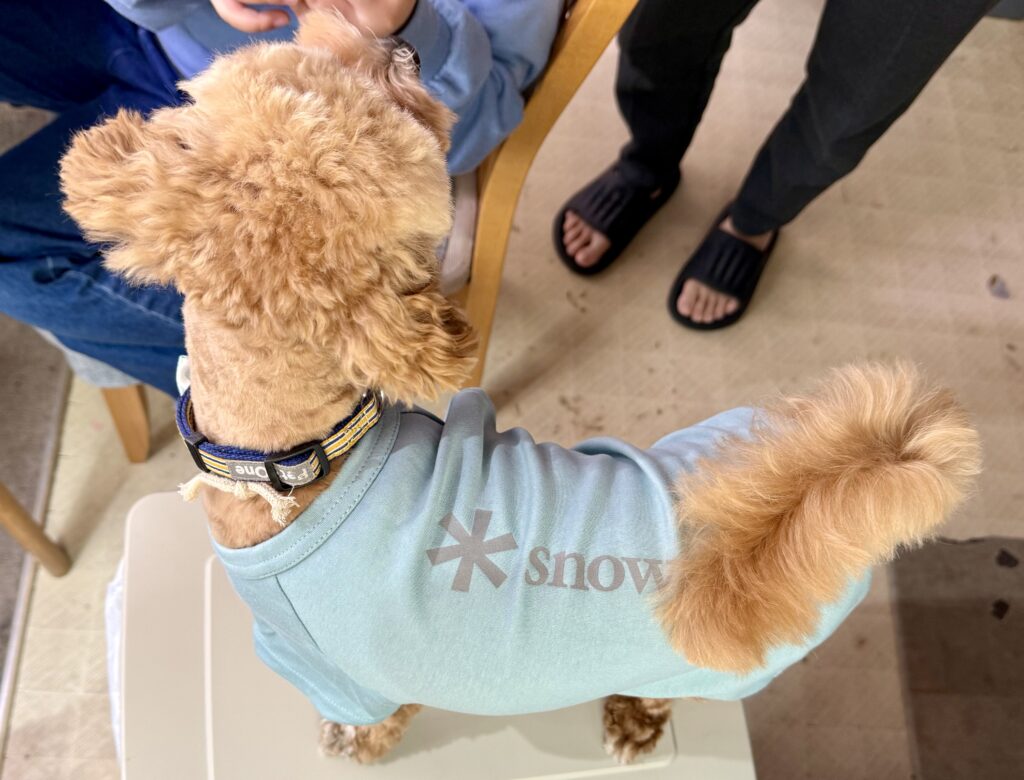 ショコラ