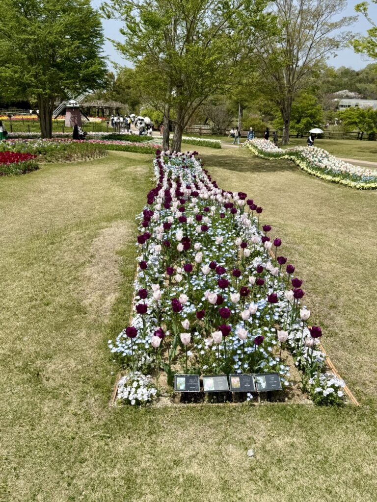 加西市フラワーセンター