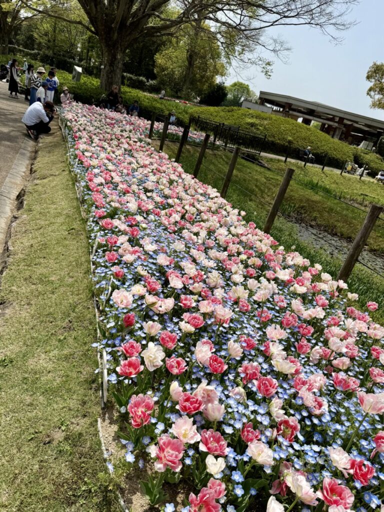 加西市フラワーセンター
