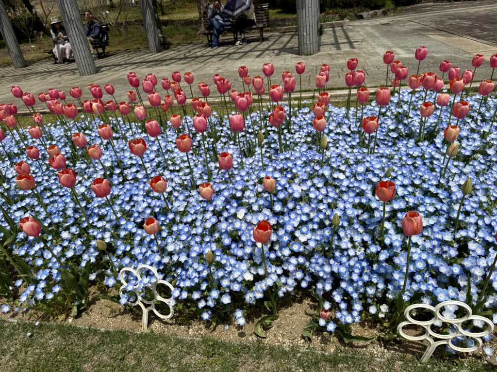 加西市フラワーセンター