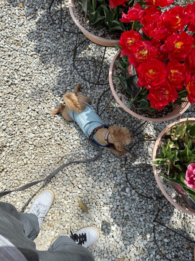 加西市フラワーセンター