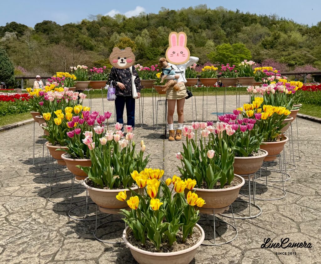 加西市フラワーセンター