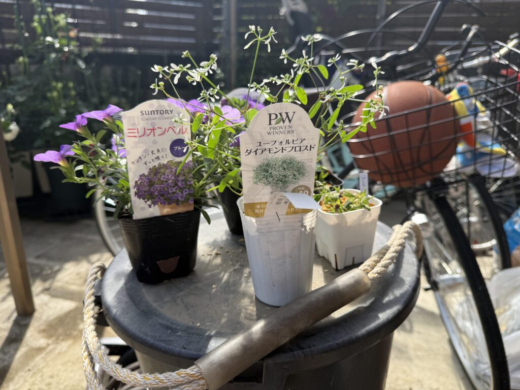 ハンギングバスケットの寄せ植え