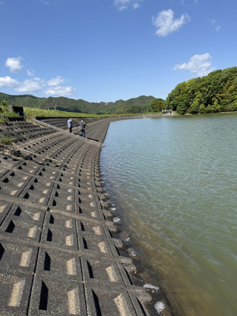 野池