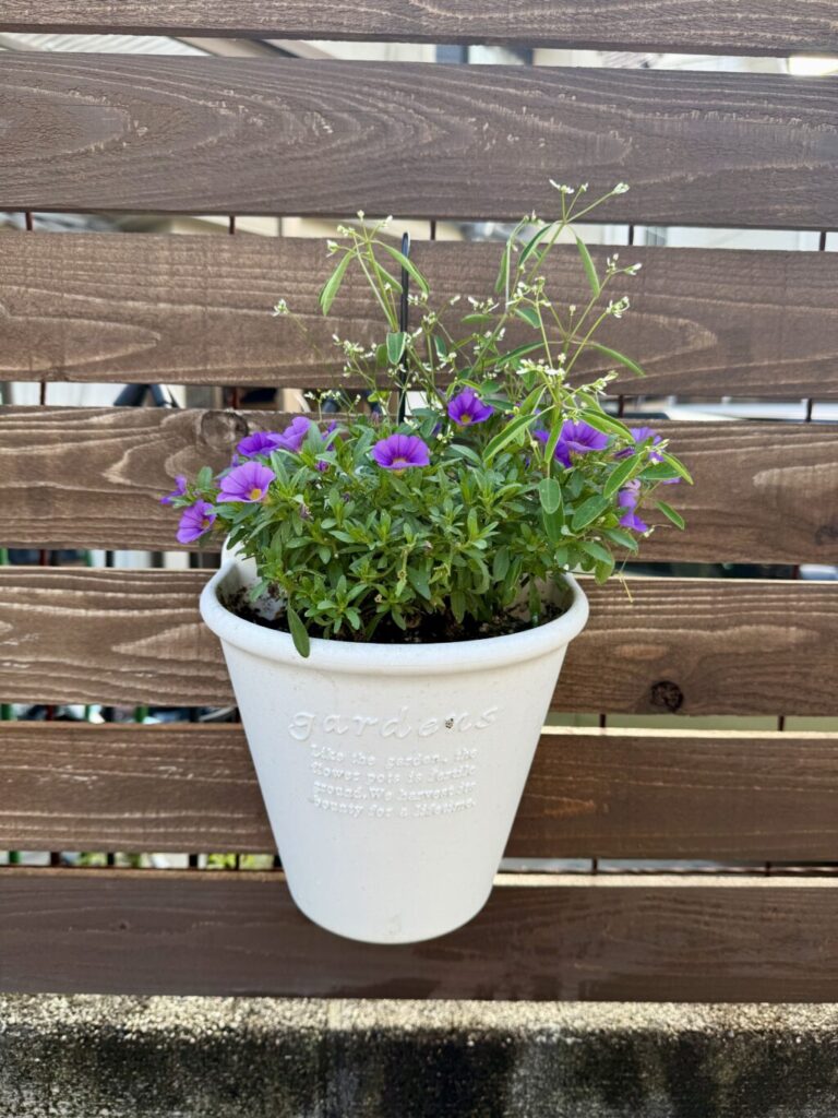 ハンギングバスケット