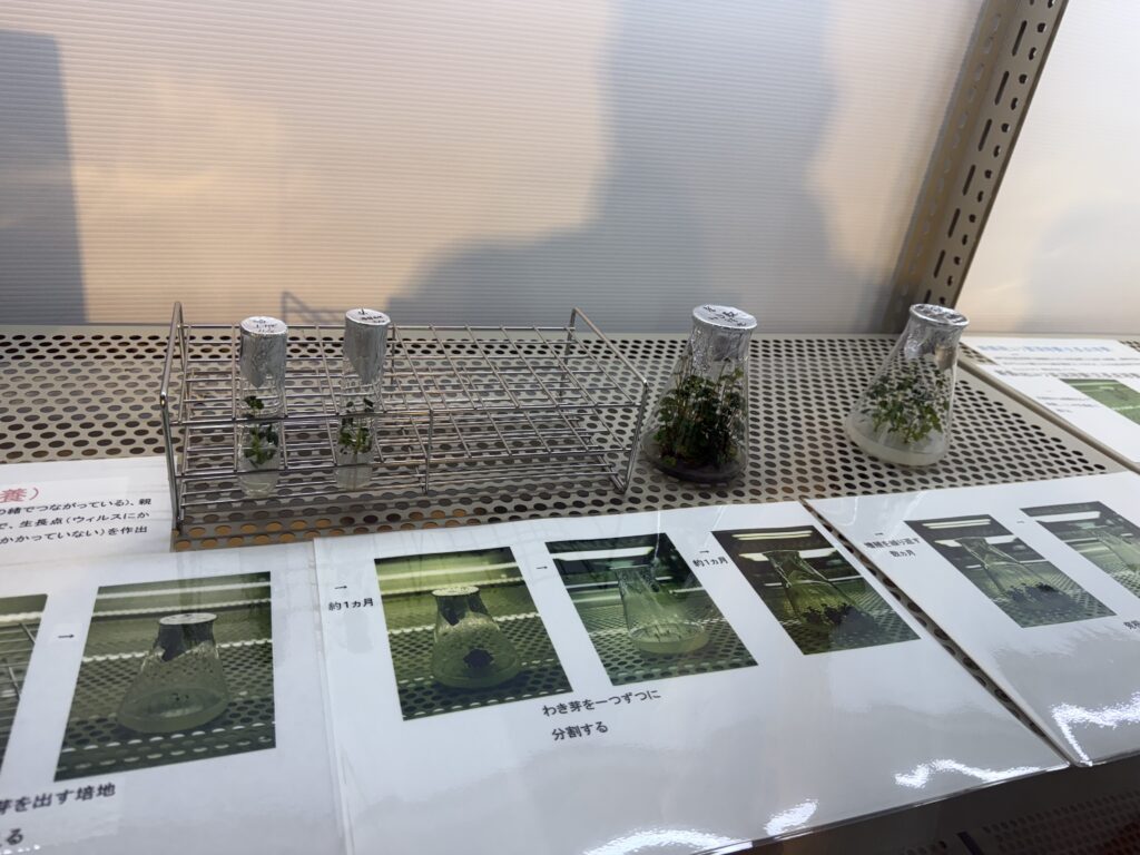 道の駅 神戸フルーツフラワーパーク大沢