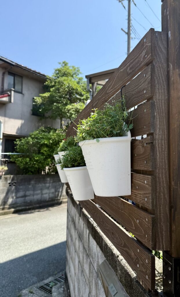 ハンギングバスケット