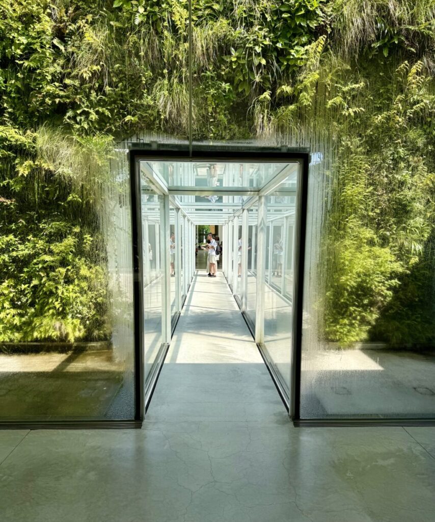 金沢21世紀美術館