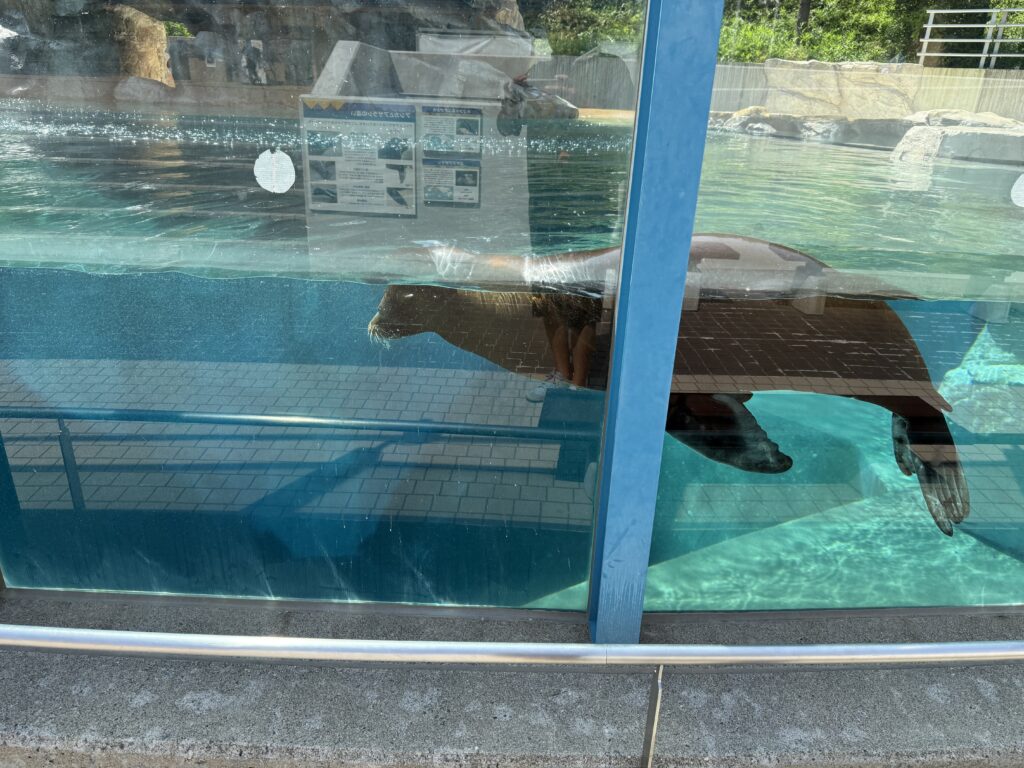 いしかわ動物園
