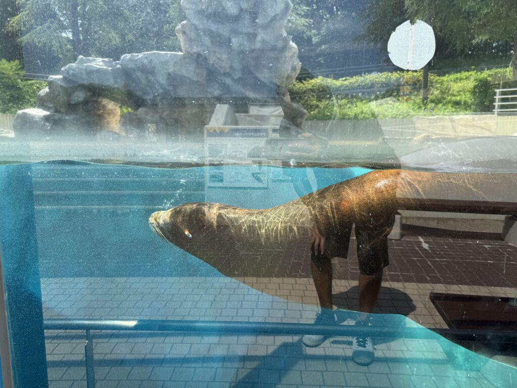 いしかわ動物園