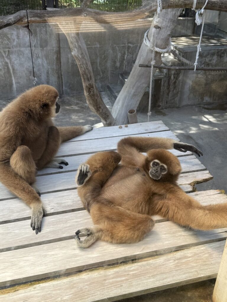いしかわ動物園