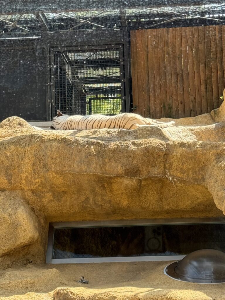 いしかわ動物園