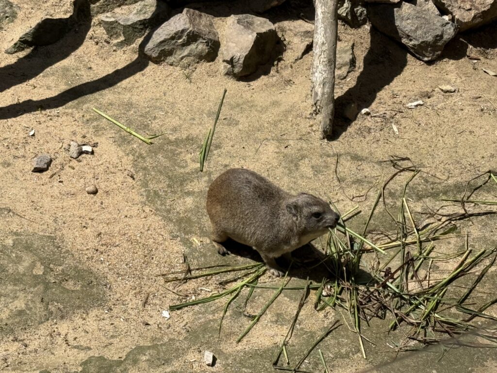 いしかわ動物園