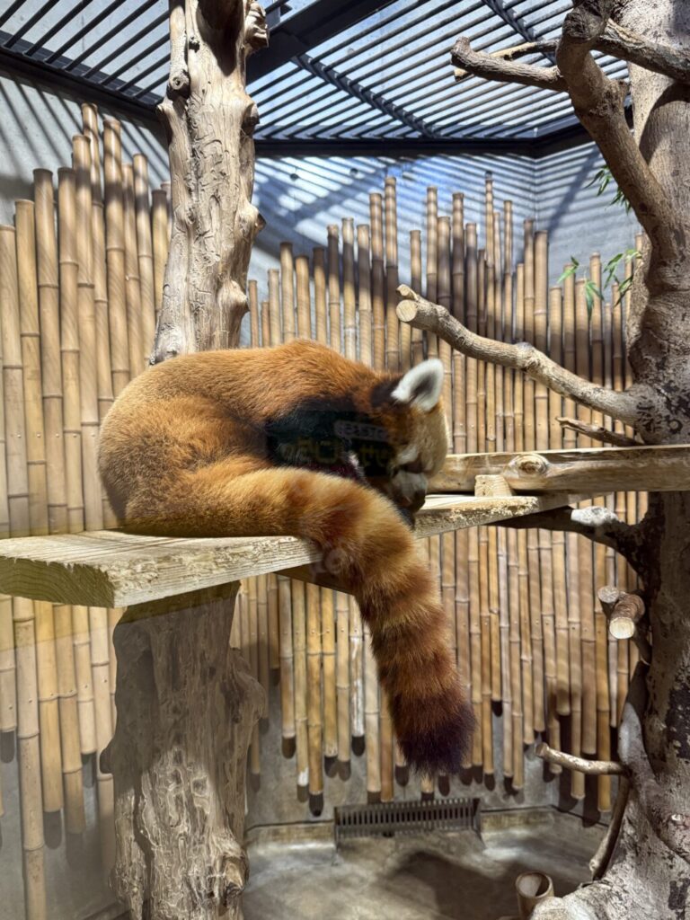 いしかわ動物園