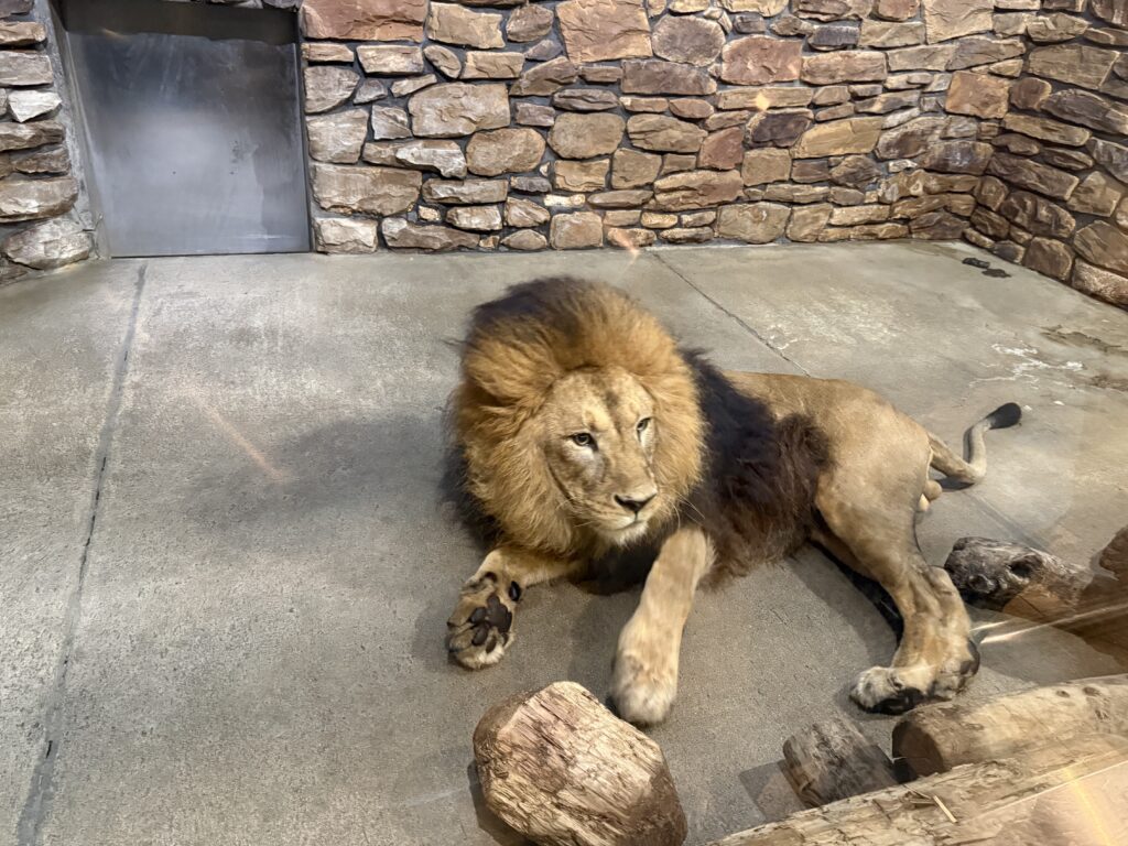 いしかわ動物園