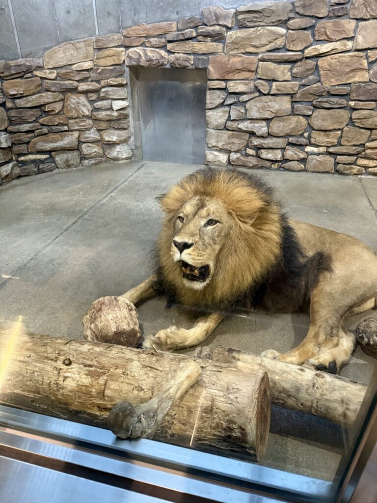 いしかわ動物園