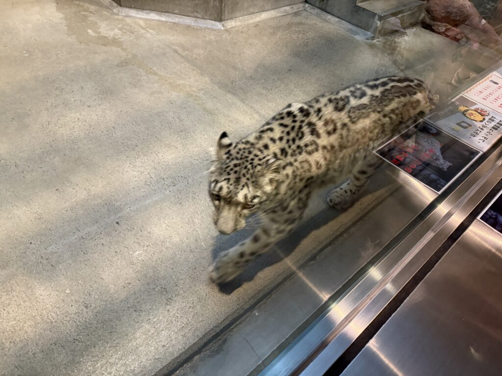 いしかわ動物園
