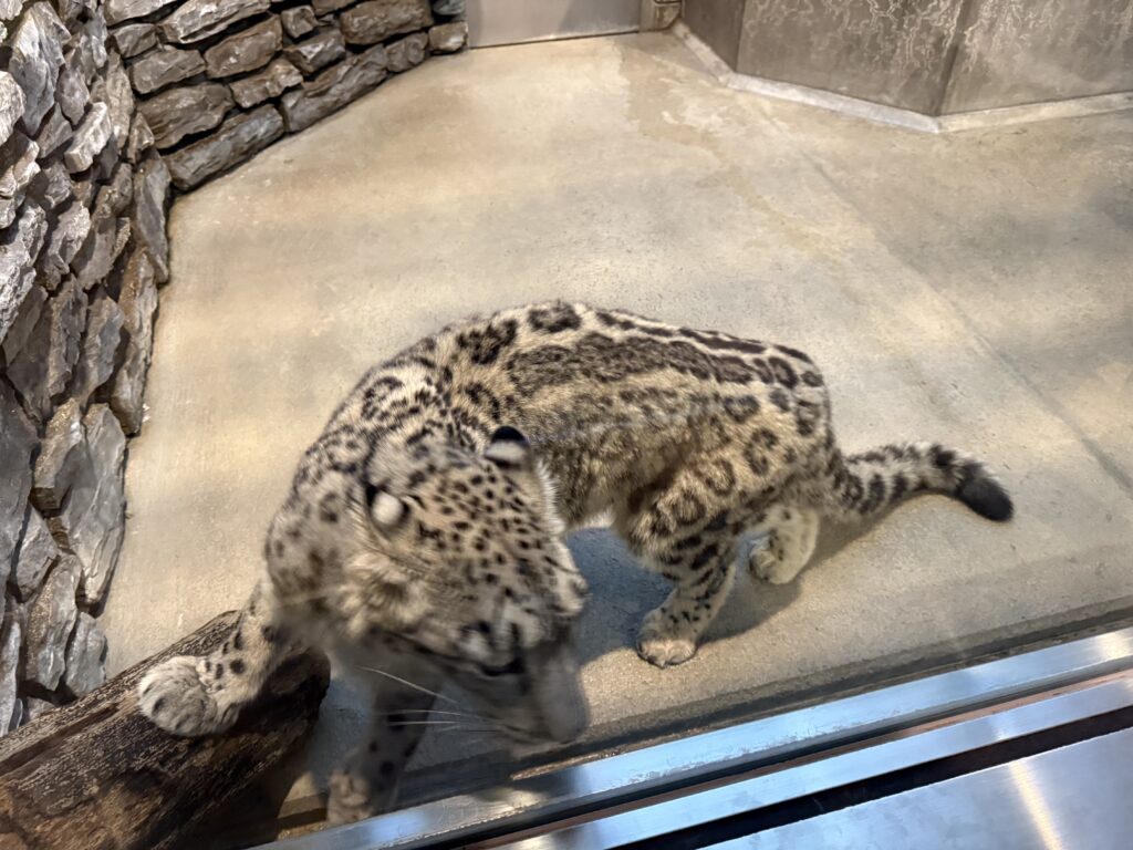 いしかわ動物園