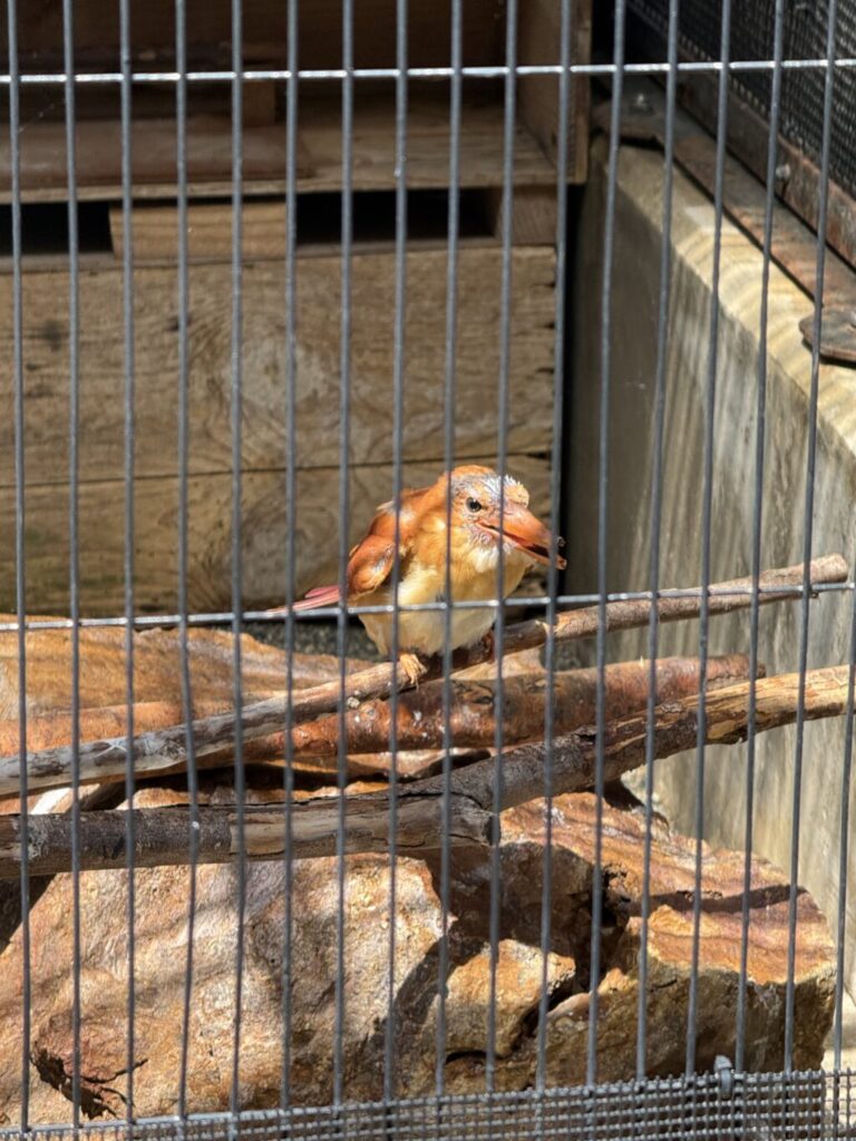 いしかわ動物園