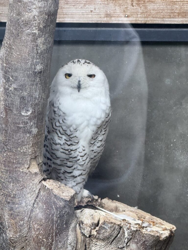 いしかわ動物園