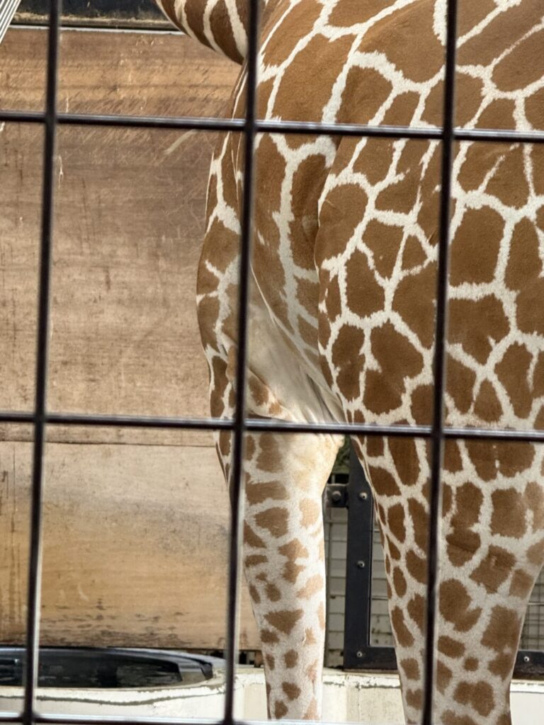 いしかわ動物園