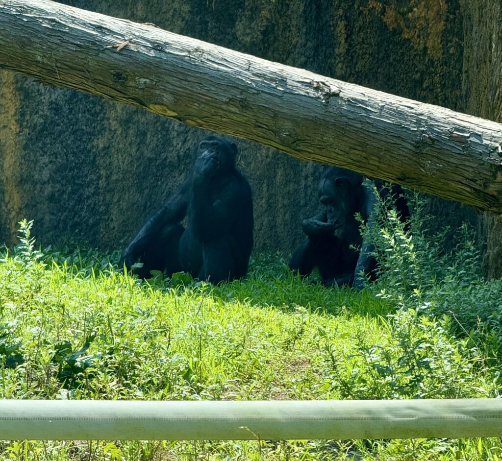 いしかわ動物園
