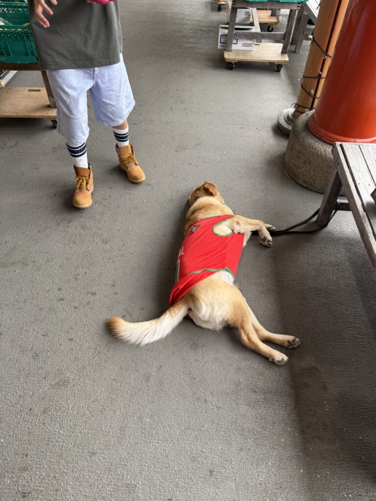 道の駅巡り【中国地方】