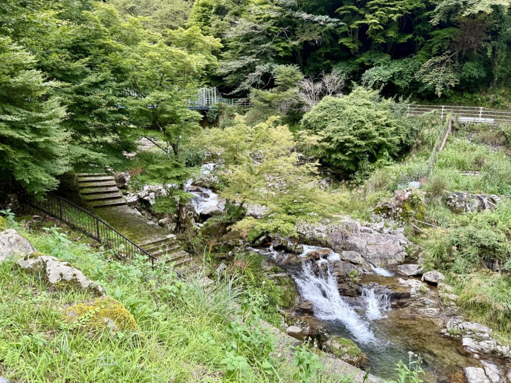 原観光りんご園