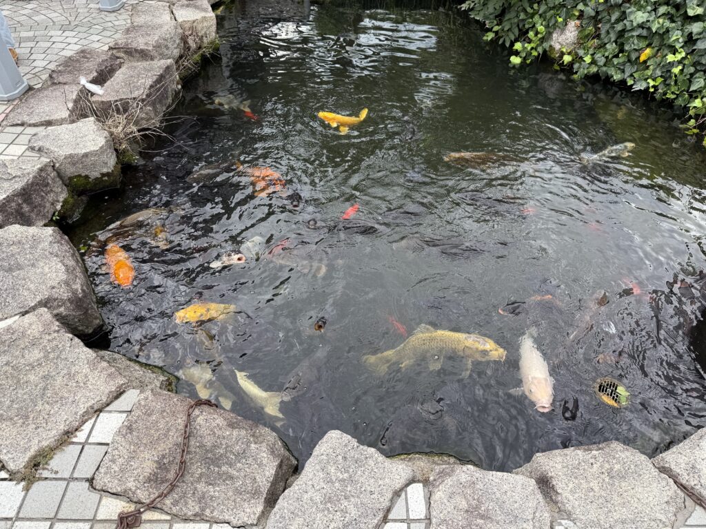 道の駅巡り【近畿地方】