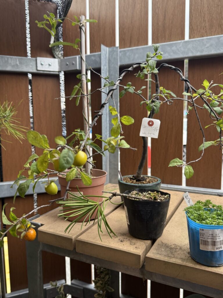 道の駅巡り【中国地方】