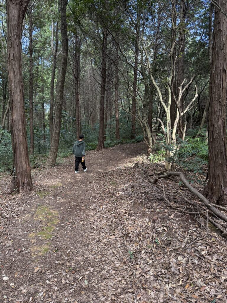 宮山遊歩道
