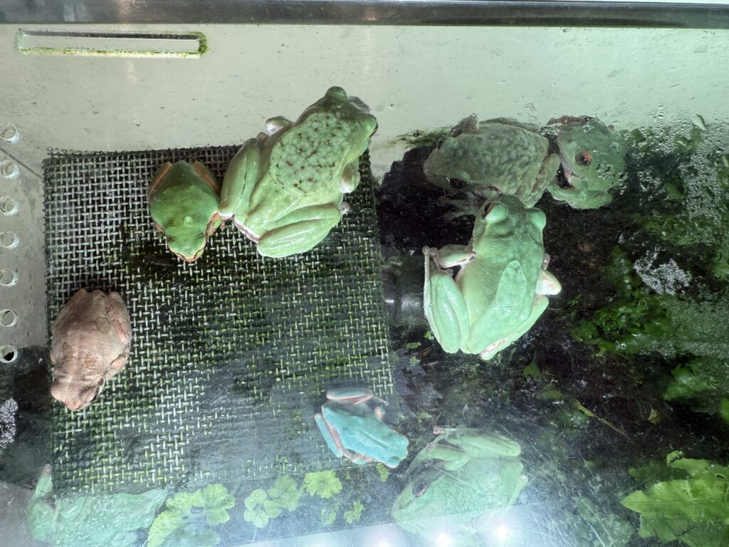 城崎マリンワールド