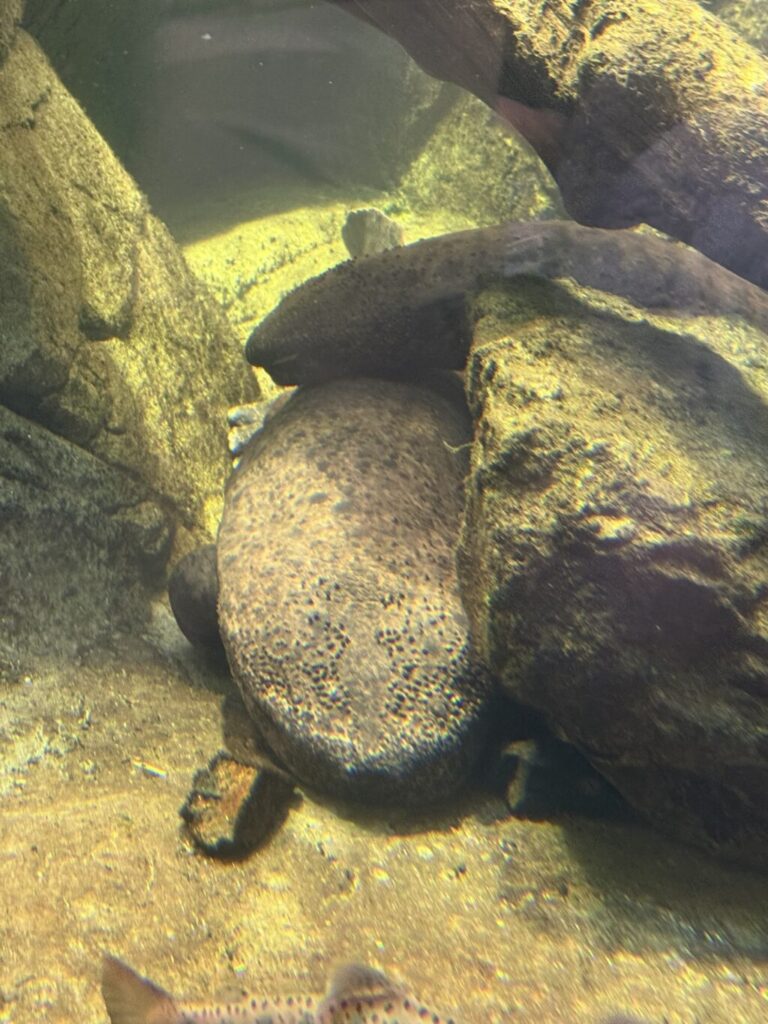 城崎マリンワールド