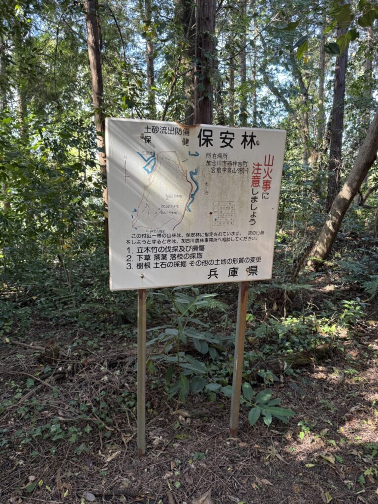 宮山遊歩道