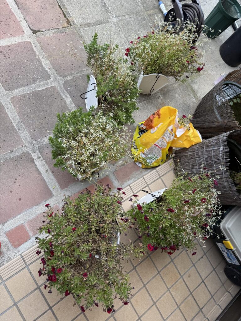 ハンギングバスケット