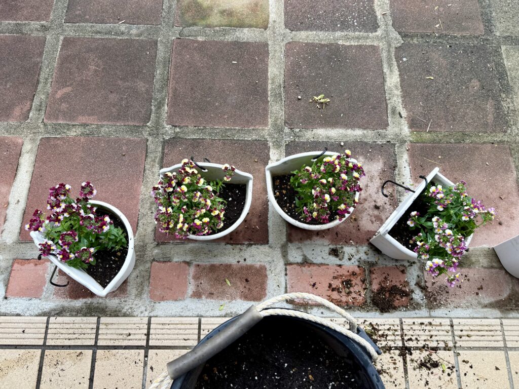 ハンギングバスケット