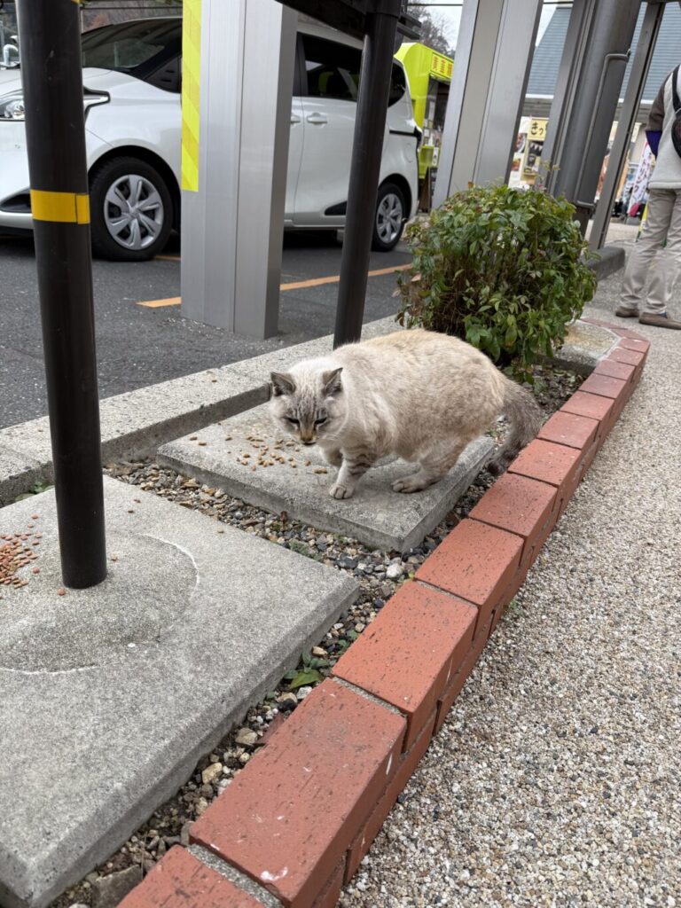 道の駅巡り【中国地方】