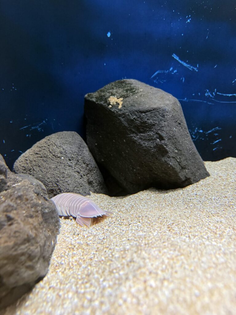 渋川マリン水族館