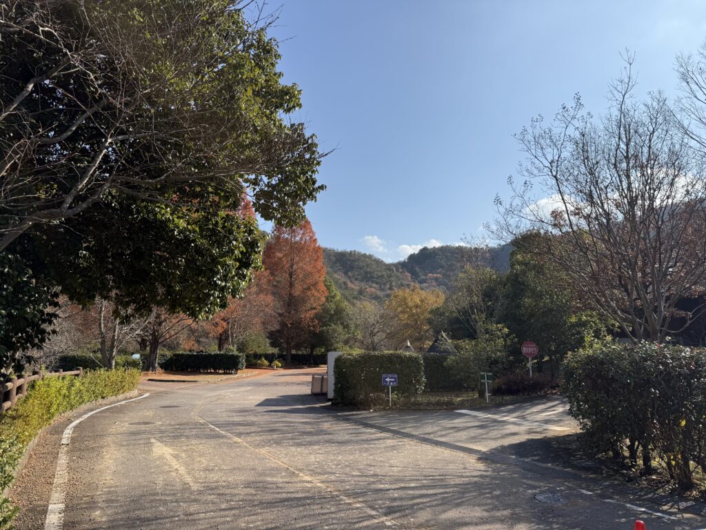 へそ公園キャンプ場