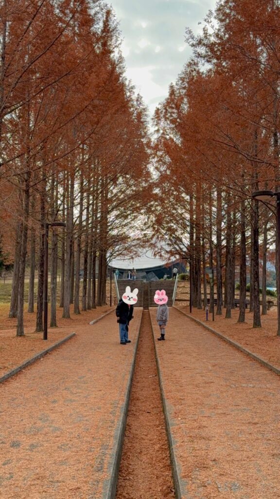 メタセコイヤ並木