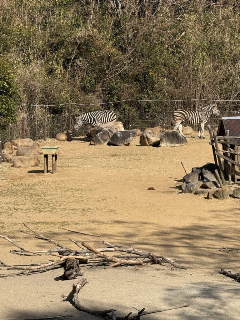 徳島動物園