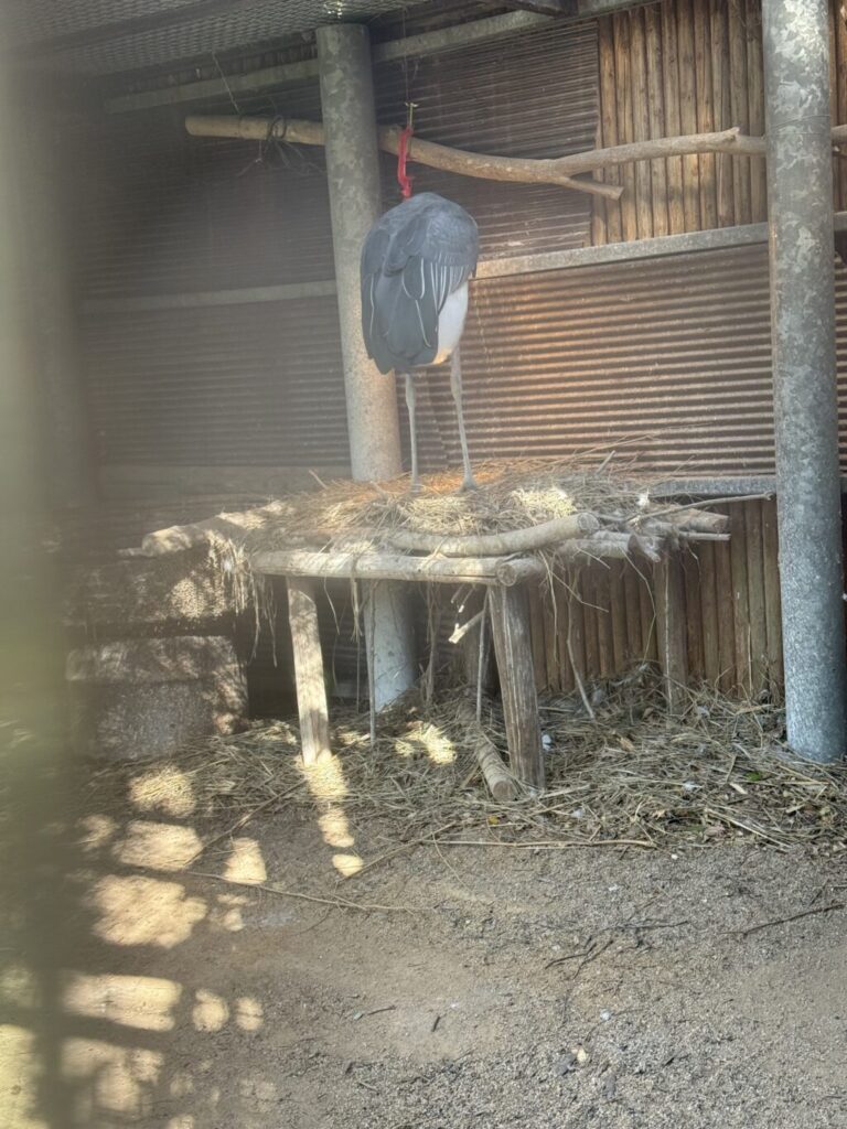 徳島動物園