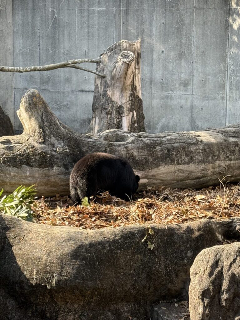 とくしま動物園