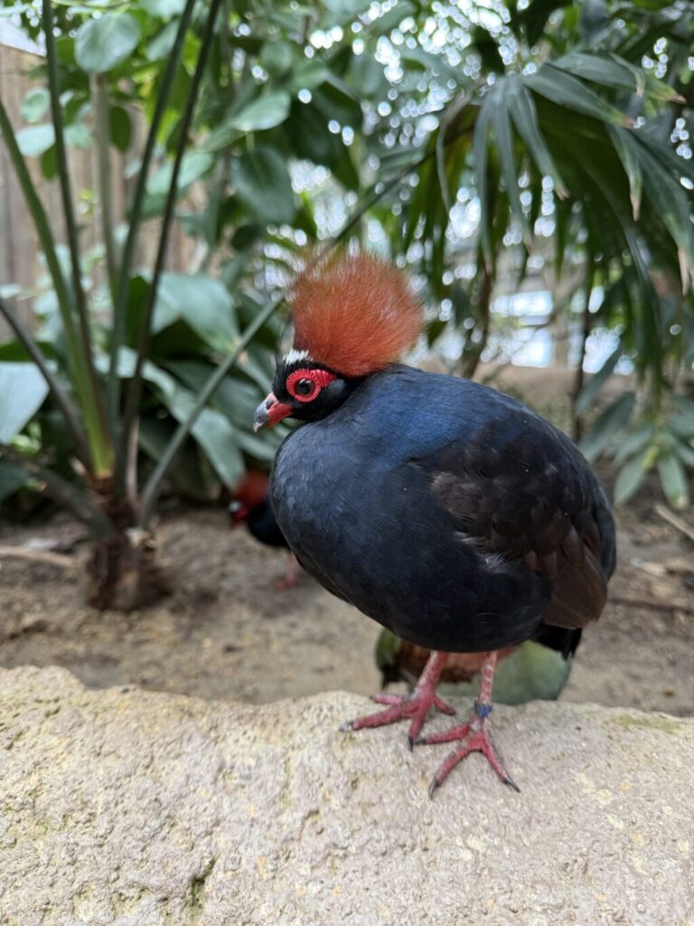 神戸どうぶつ王国
