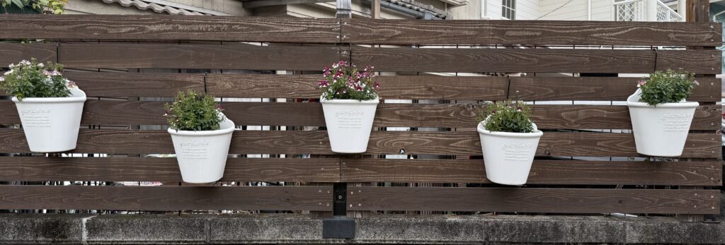 ネメシア・ノアール